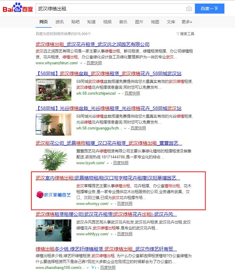 武汉绿植出租